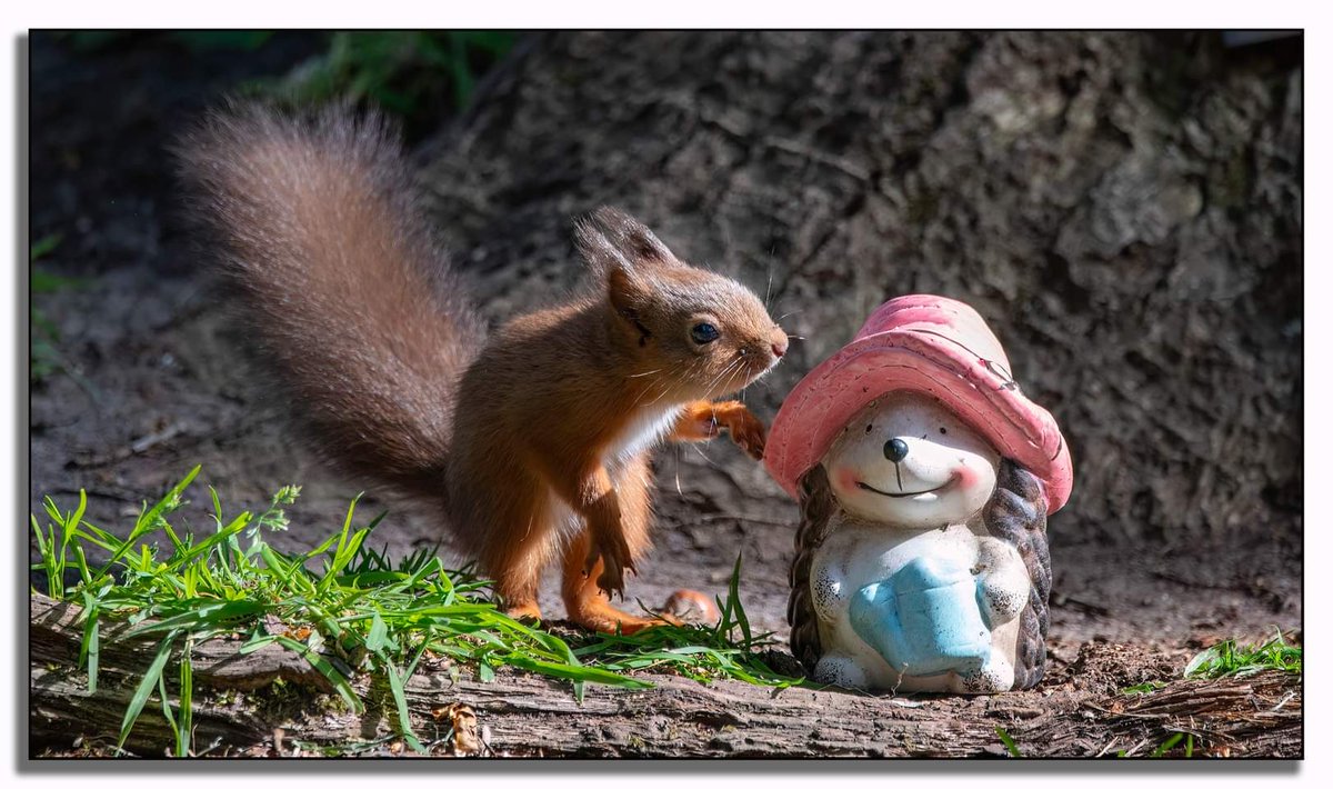 Lou 🦄 tweet media