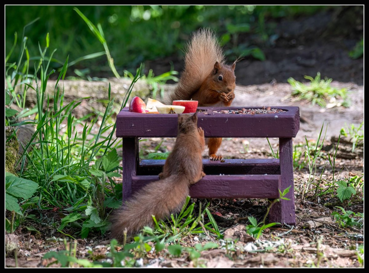 Lou 🦄 tweet media