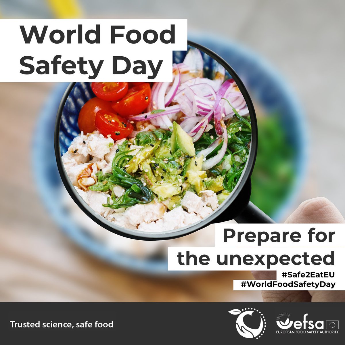 Happy #WorldFoodSafetyDay! 🎉
This year, we're looking at how we deal with unexpected food safety challenges! From minor mishaps to major food fraud, we're prepared. Everyone, from policymakers to YOU, has a role.
Stay safe, stay informed  👇   who.int/campaigns/worl…
#Safe2EatEU