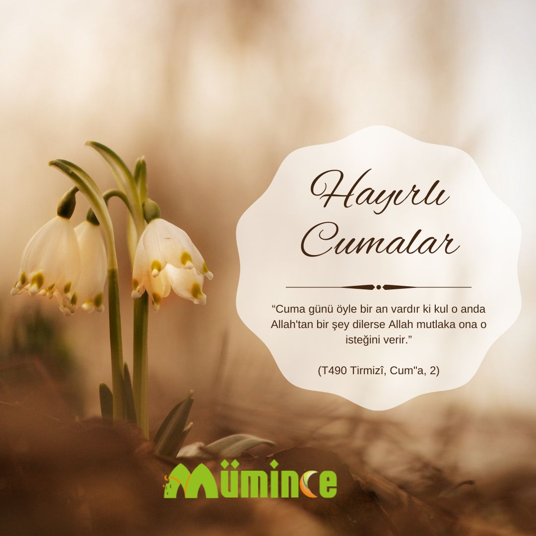 mumince_com's tweet photo. Hayırlı Cumalar https://t.co/jT16raBJL5