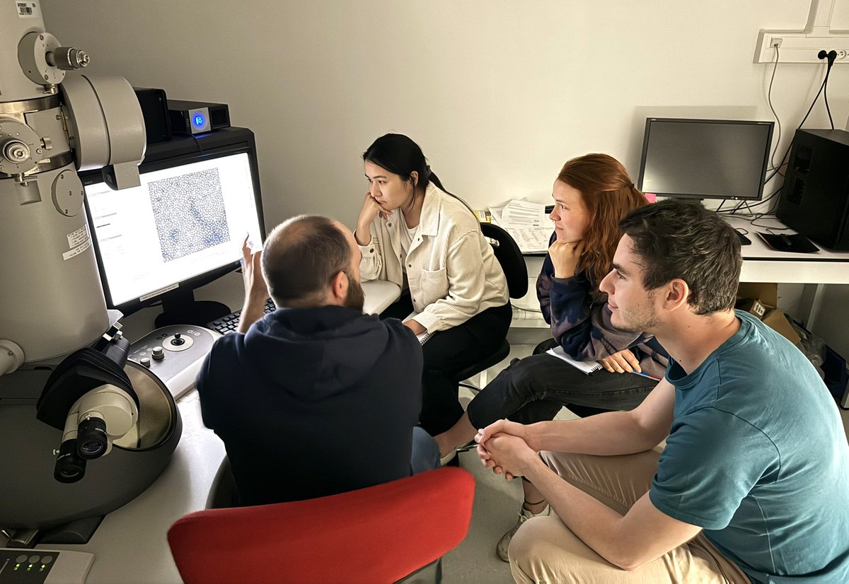 Sneak peek into the #EMBOmacromolecular practicals 🧬🔬

Participants learned from experts at EMBL &amp; partner institutes on campus about mass spectrometry, biophysics, cryo-EM, serial macromolecular crystallography, and much more!