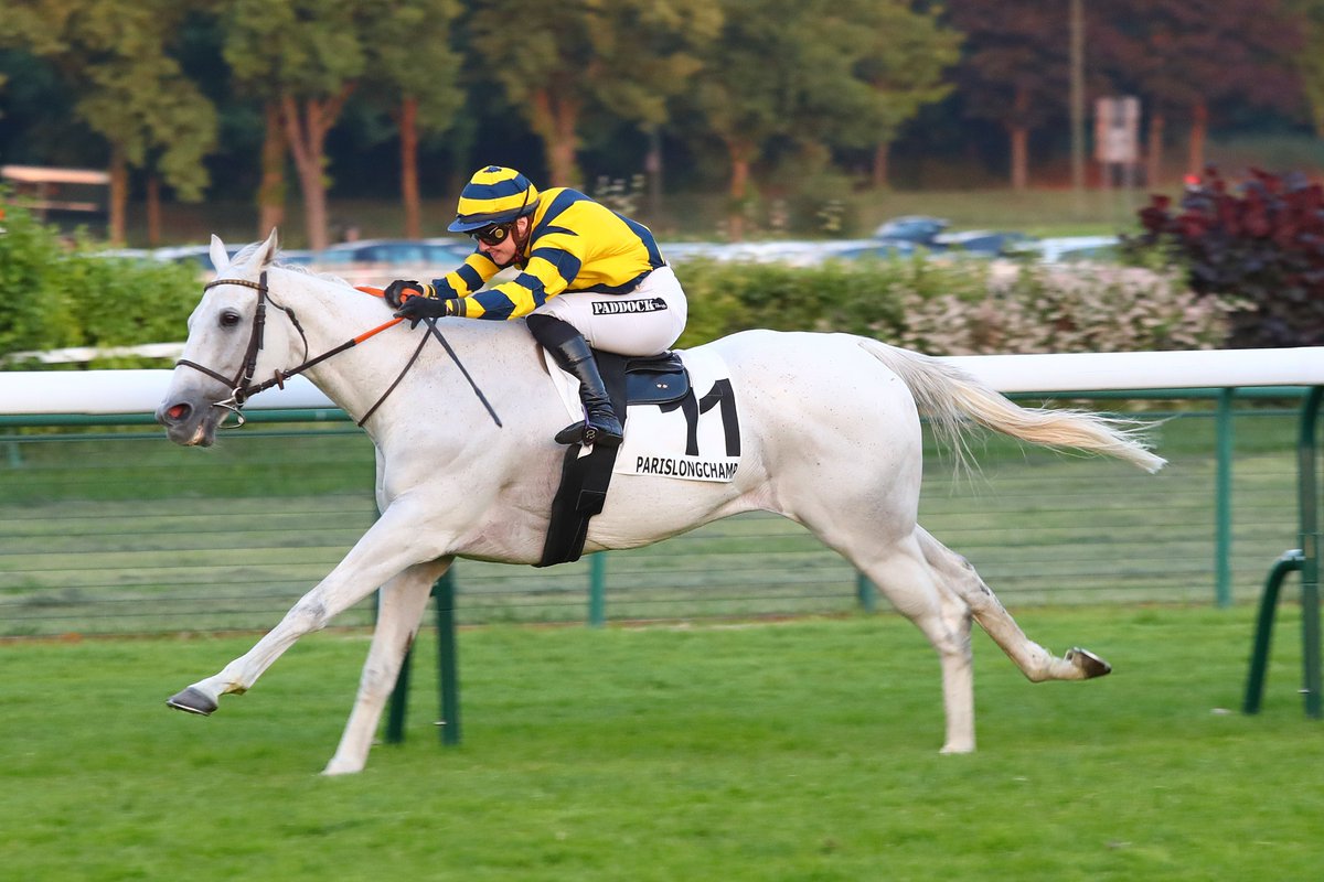 Larno et Mme Frida Valle Skar ont remporté hier à ParisLongchamp le Prix #ComoMercedesBenz (Prix de Chaville).
Como Mercedes-Benz, véhicule Officiel des #JeuXdi by #ParisLongchamp.
#MercedesBenz #Mercedes