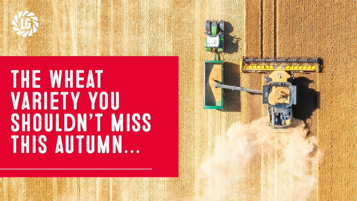 LGSeedsUK tweet media