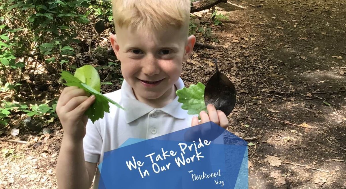 MonkwoodPrimary's tweet photo. 🌿 Monkwood recently took part in woodland sessions with @PopsOutdoor, where different year groups took part in a variety on activities!

Read the full story here 👉 https://t.co/PTR6mOuDxs https://t.co/79gkVanSkS