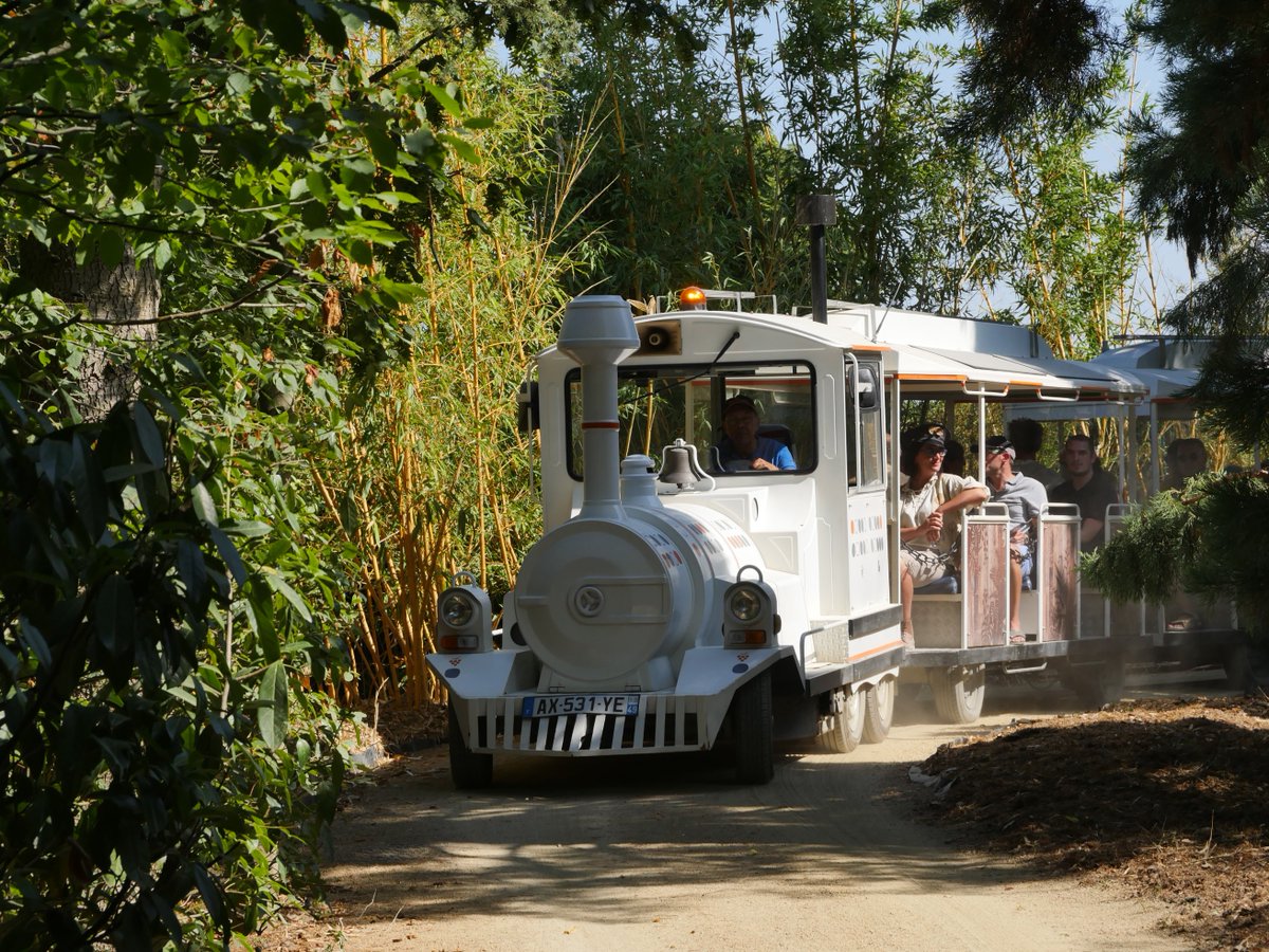 Zoom sur la privatisation 🔍 

Saviez-vous que certaines attractions du parc peuvent être privatisées spécialement pour vous et votre événement ?

Une expérience exclusive qui promet de beaux souvenirs ! ✨
#seminaire #angers #terrabotanica #centreaffaires