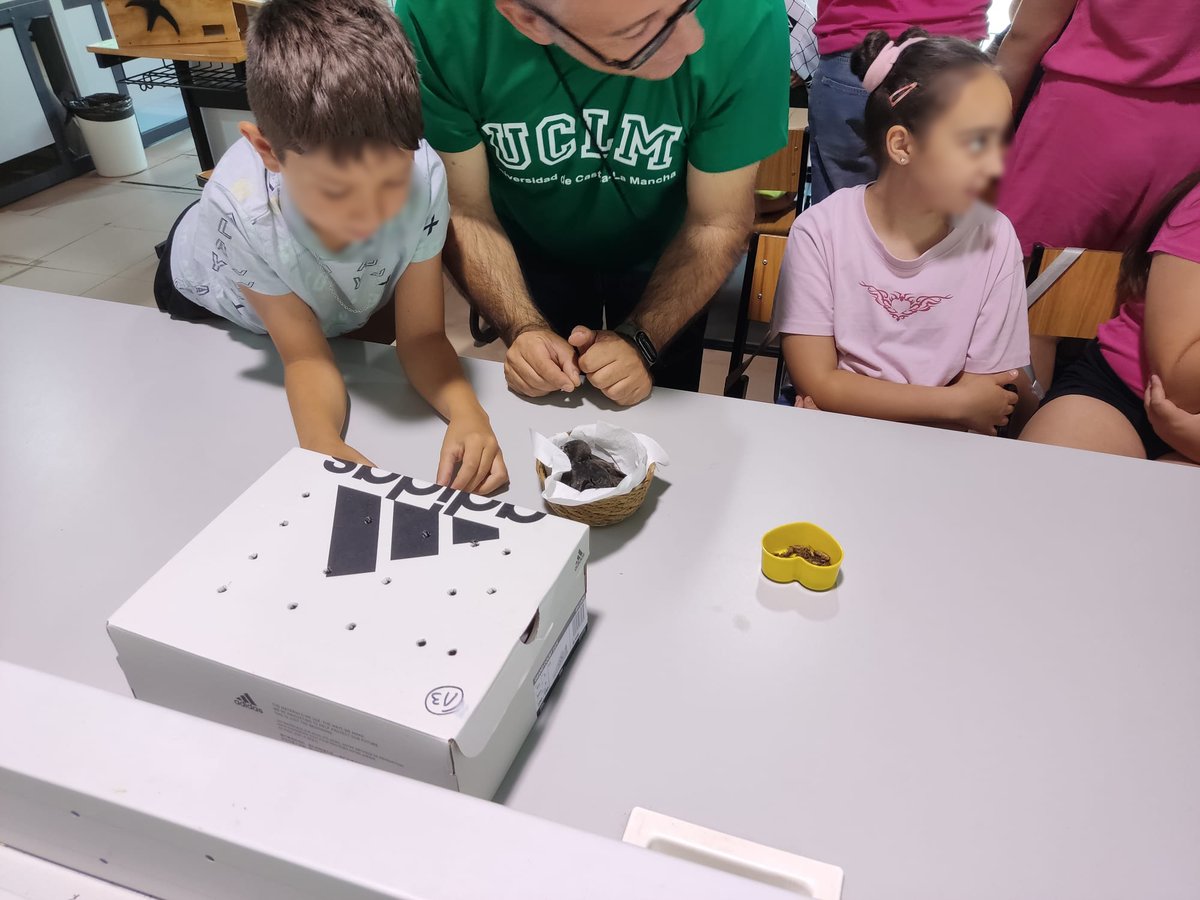 UCLMdivulga's tweet photo. Trasladamos nuestro agradecimiento a los profesores de la @uclm_es:  @ItziarRUrbieta, @garrofin y Beatriz Oliver. Así como a Miguel, Laura, Mercedes, Cristina y Micaela, el profesorado del CRA. https://t.co/gU3FeQ4s5q