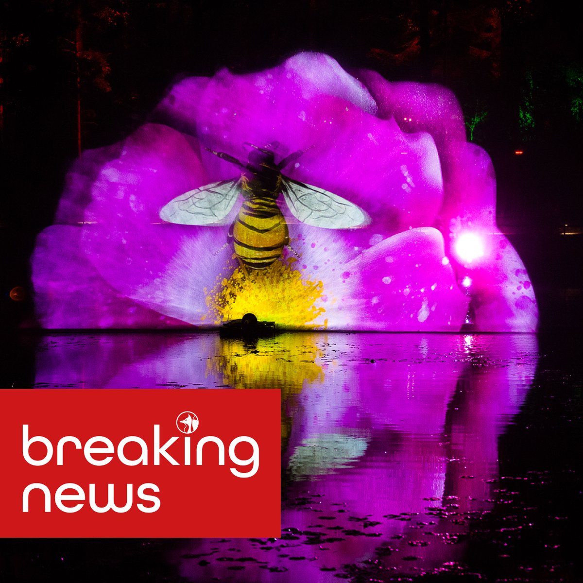 Cunningly Good Group (@cunninglygood) on Twitter photo 🚨BREAKING NEWS!🚨
Organisers behind Scotland’s favourite sound and light show, <a href="/enchantforest/">The Enchanted Forest</a>
which takes place between 3 October & 3 November in Pitlochry, have confirmed this year’s much anticipated show theme is ‘Symphony of Nature’.
Read more👉bit.ly/3KwQmlk 🚨BREAKING NEWS!🚨
Organisers behind Scotland’s favourite sound and light show, <a href="/enchantforest/">The Enchanted Forest</a>
which takes place between 3 October & 3 November in Pitlochry, have confirmed this year’s much anticipated show theme is ‘Symphony of Nature’.
Read more👉bit.ly/3KwQmlk
