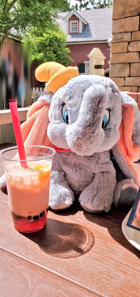 10231023ri's tweet photo. 先日バースデーインしました。なんとホテルへ戻って来たらダンボちゃんがベッドで休んで待っててくれていた…😳！！(前日に雨で濡れてしまって部屋でお留守番していた)
可愛すぎて寝るまでそのまま触れられず😂💓お風呂場もダンボちゃんいました！セレブレーションホテル最高！ https://t.co/KZqRTmE2RE
