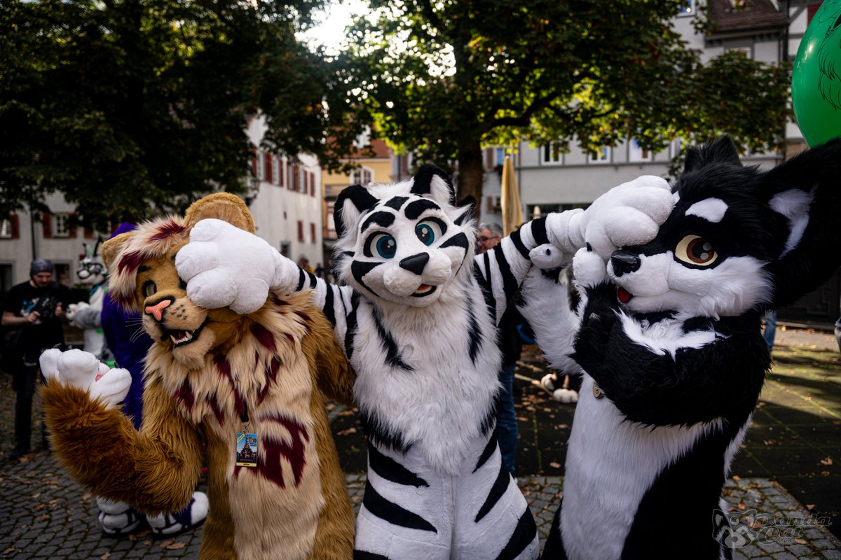 Aphinic Tiger 🇩🇪🇪🇺 tweet media