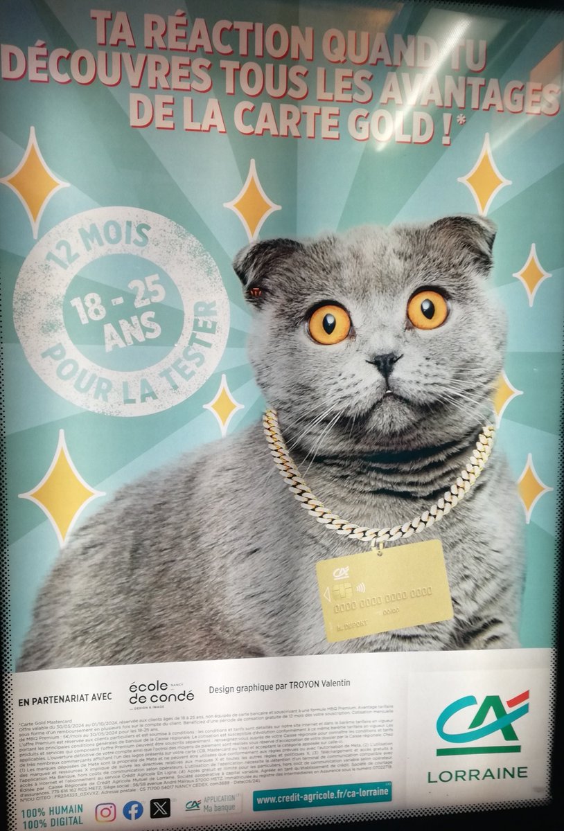 Justine SIMON tweet media