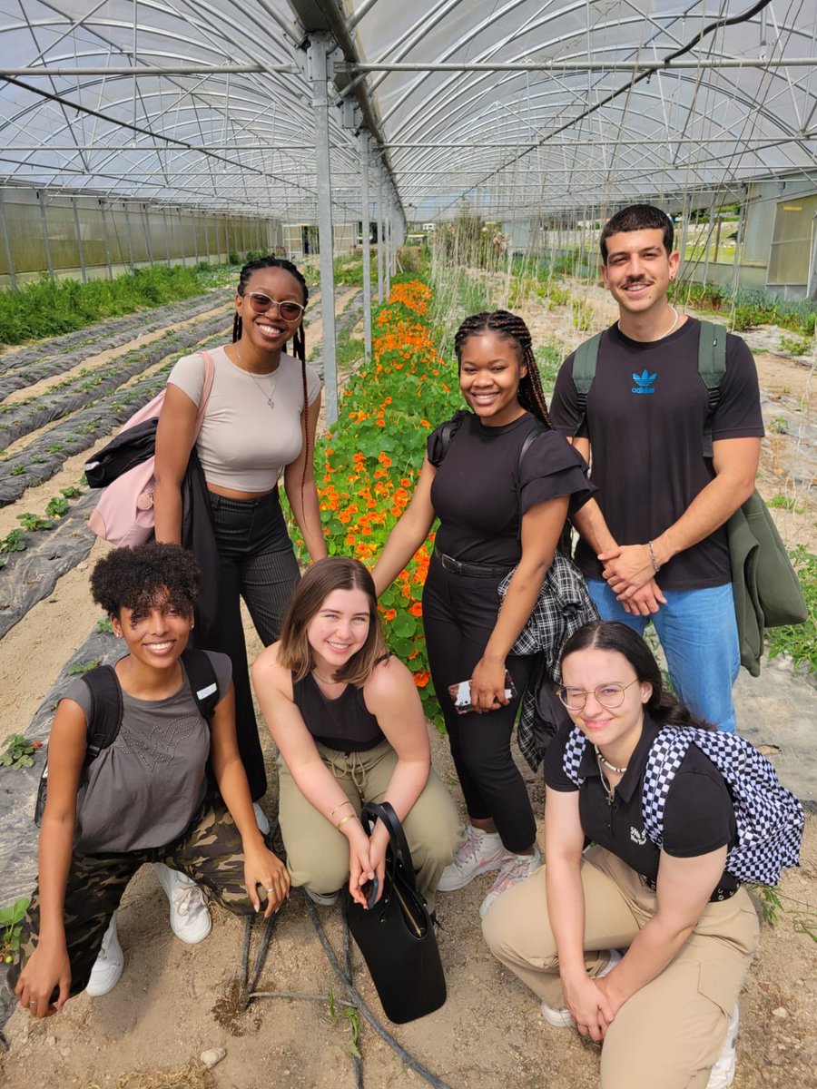 patantunes1973's tweet photo. 🔬🍽️ Food Microbiology Seminar 2024: #fcnaup students discussed hot topics in food safety. It was a unique opportunity to learn through study visits. Thanks to the food sector companies that hosted our students. Congrats to all! #FoodSafetyDay is every day! #WorldFoodSafetyDay https://t.co/Gq4vLbej9T