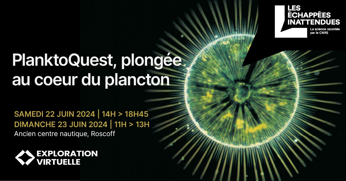 CNRS Bretagne et Pays de la Loire (@cnrs_dr17) on Twitter photo Plongée microscopique dans l’océan❗️
Avec l’exploration virtuelle #PlanktoQuest de la <a href="/SBRoscoff/">Station Biologique de Roscoff</a>, préparez-vous à explorer l’océan, manipuler du plancton et décortiquer des cellules. 🌊🦠
▶️ bretagne-pays-de-la-loire.cnrs.fr/fr/evenement/e… Plongée microscopique dans l’océan❗️
Avec l’exploration virtuelle #PlanktoQuest de la <a href="/SBRoscoff/">Station Biologique de Roscoff</a>, préparez-vous à explorer l’océan, manipuler du plancton et décortiquer des cellules. 🌊🦠
▶️ bretagne-pays-de-la-loire.cnrs.fr/fr/evenement/e…