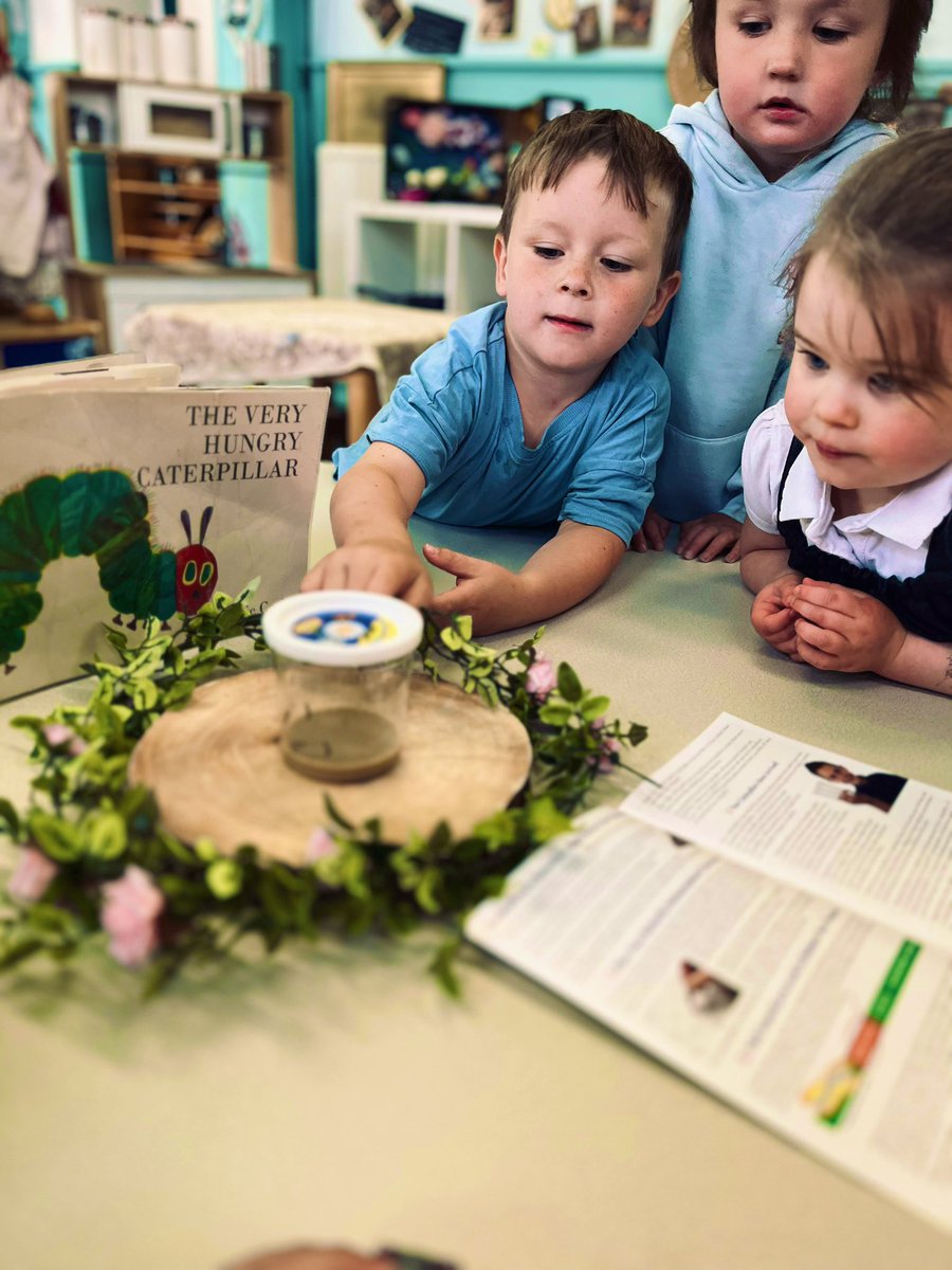 Holtonprimary's tweet photo. #HPSNursery have had a very special deliveryβ¦. 5 very hungry caterpillarsπ we will be helping them grow into beautiful butterflies! π¦ #abugslife #inquiry #HPSSciTech https://t.co/8do0uBS17f
