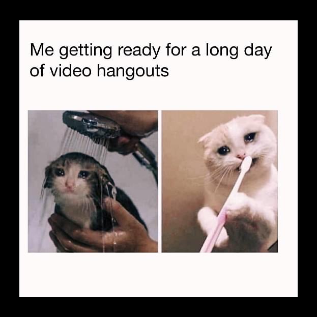 freelbee_'s tweet photo. Literally all of us, right? 🤝 https://t.co/kt0Ja93Ww4