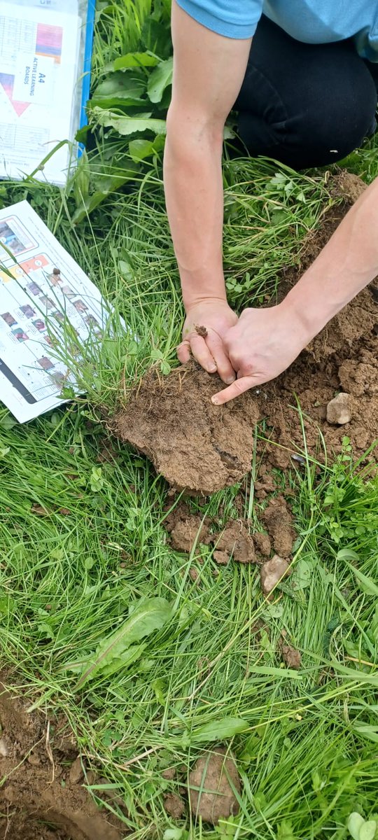 Oide STEM Post-primary tweet media