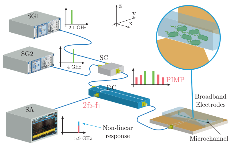 🎊📬🎉The Multiscale Fluid Mechanics Lab rb.gy/6um8t4 is excited to share the collaboration in a new paper on microwave interaction with microorganisms using microfluidics led by <a href="/cespalacios/">César Palacios</a> &amp; <a href="/JofreMarc/">Marc Jofre</a> at <a href="/la_UPC/">Universitat Politècnica de Catalunya (UPC)</a>: 10.1109/ACCESS.2024.3408081 <a href="/EEBE_UPC/">EEBE</a> <a href="/BiblioEEBE/">Biblioteca Campus Diagonal-Besòs. EEBE - UPC</a>