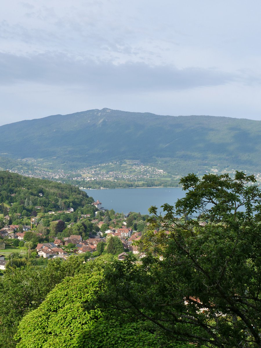 Annecy Web tweet media