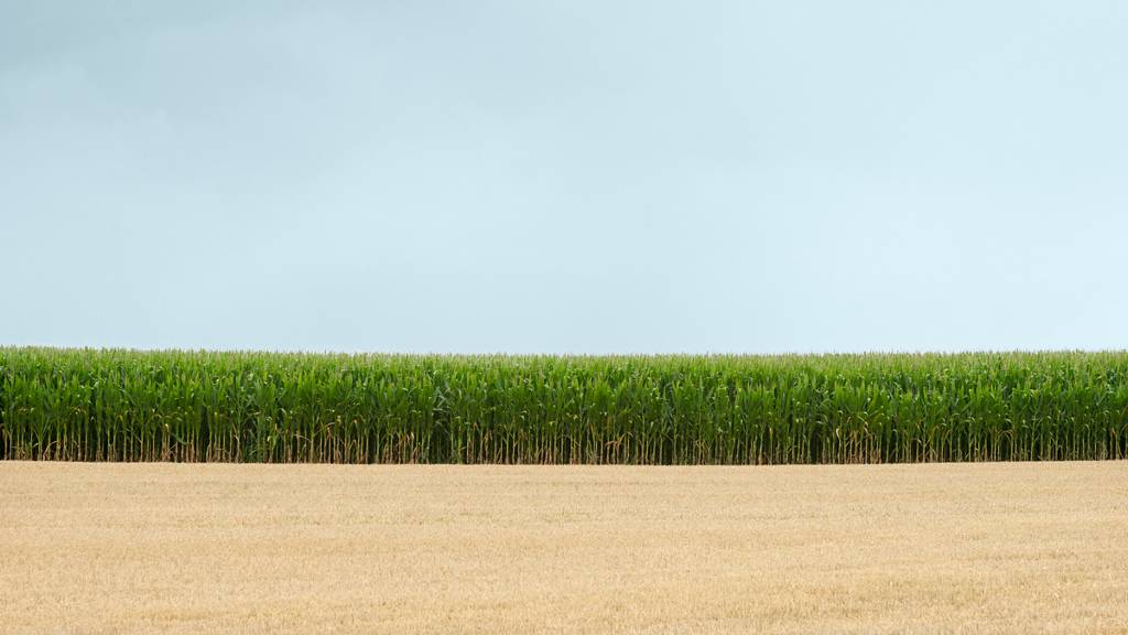 artlimitednet's tweet photo. Modern Times by Bernd Walz
#landscape #colors_of_day #color #photographydaily #mais #photography #vastness #agriculture #colorful #scenicview #field #fieldscape #minimalism #documentary #photographyislifee #emptiness #contemplation #minimalistic #fineart… https://t.co/2v4hudodUc https://t.co/T1AdycrXQQ