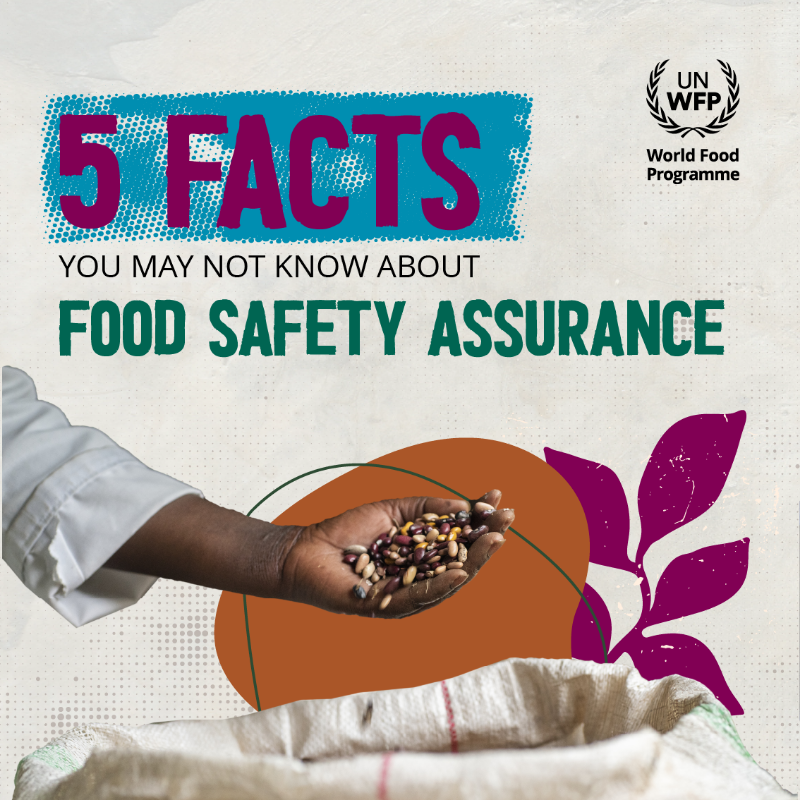 WFPSupplyChain's tweet photo. Ensuring safe &amp; nutritious food is fundamental to @WFP’s mission, not only on this #WorldFoodSafetyDay but every day 🌾🌍

👉🏽 Here are 5⃣ things you need to know about our efforts to create a strong safety culture across our operations &amp; maintain trust with the people we assist.