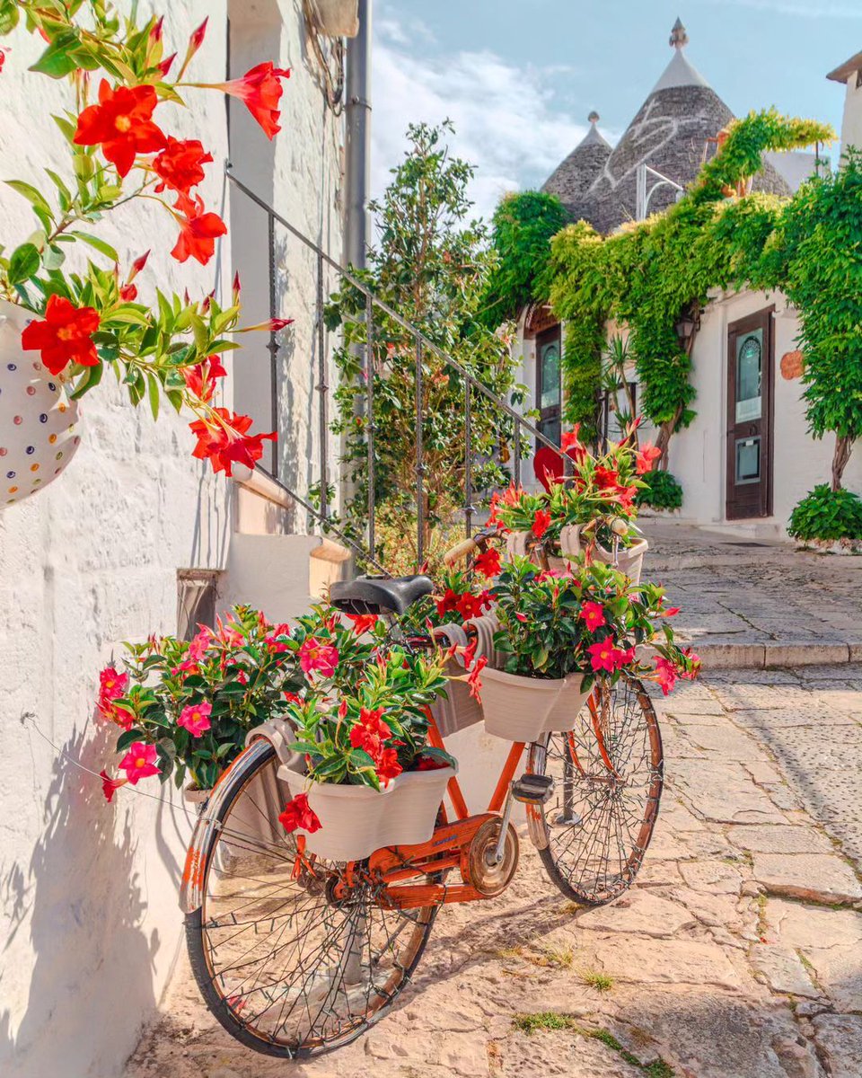 viaggiarepuglia's tweet photo. Tra i pinnacoli dei trulli e i colori della bella stagione, Alberobello è ricca di scorci incantevoli 🌺

#WeAreinPuglia

📸 @giovannisalinaro https://t.co/YJjO0SjVIf