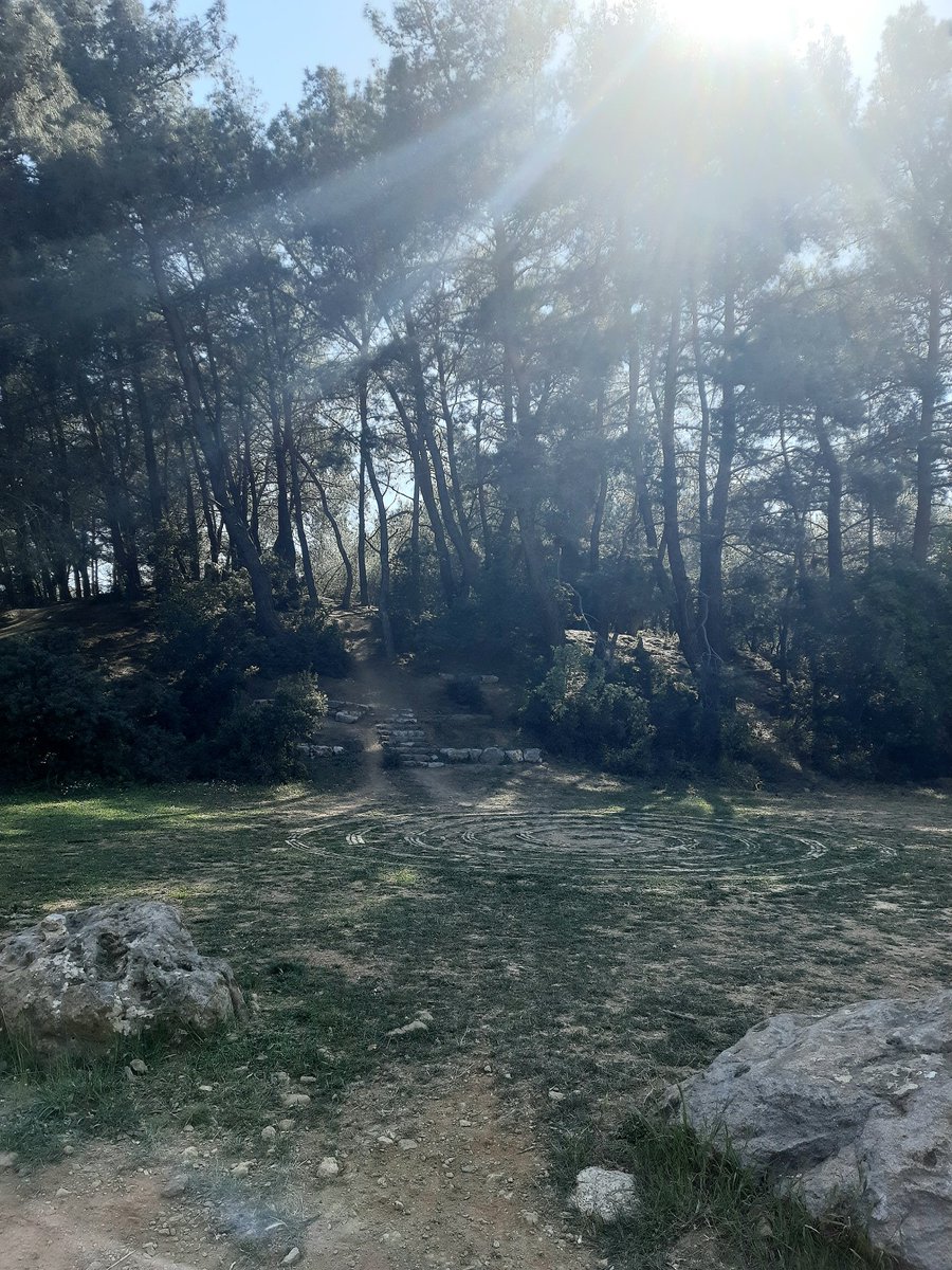 InsaniMimari's tweet photo. Ahşap malzemeden sergi alanları ve lavabolar https://t.co/z9tZRD2L23