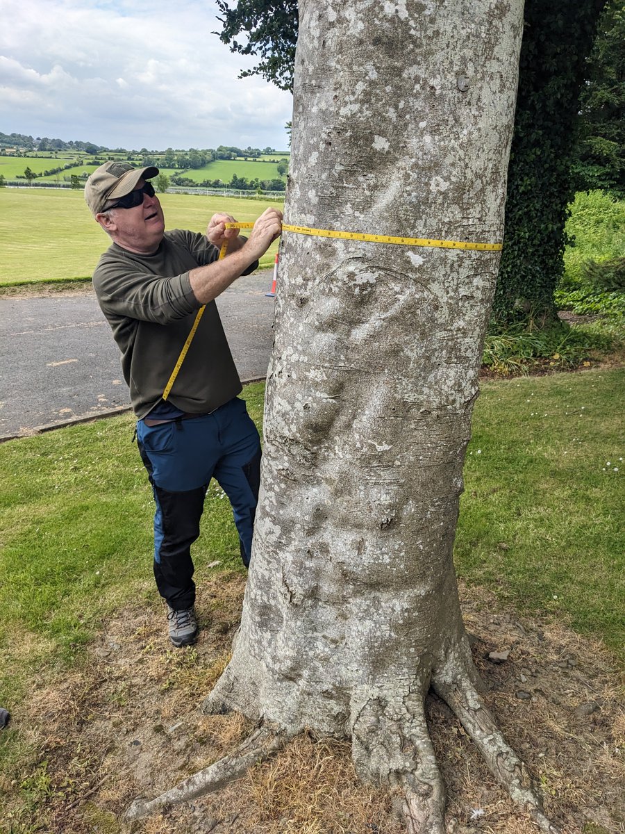 Oide STEM Post-primary tweet media