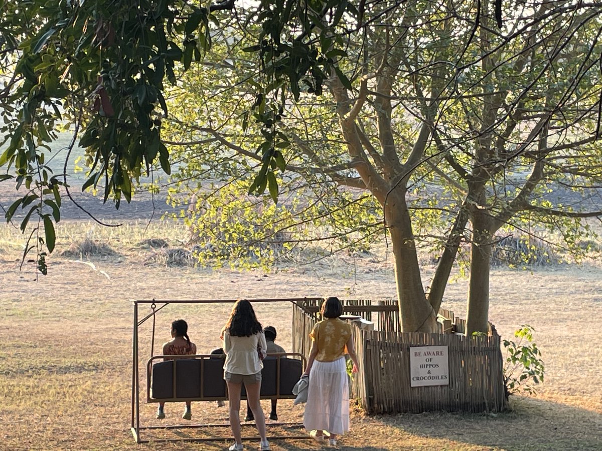 Impington International College (IIC) tweet media