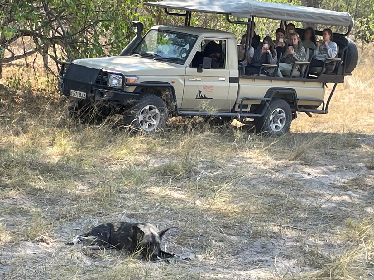 Impington International College (IIC) tweet media