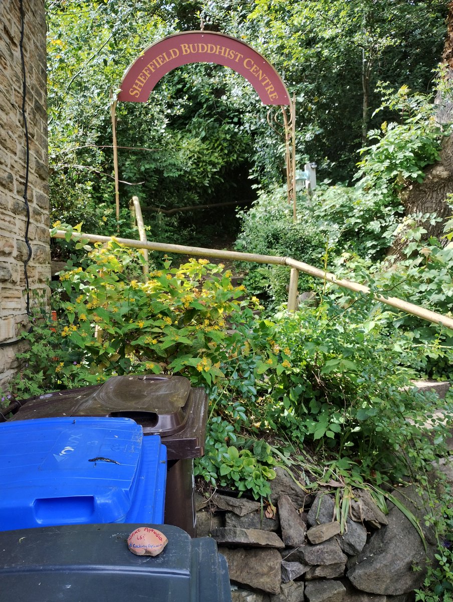 We left yesterday's #RockingAphasia stone in a leafy spot for someone to find! #AphasiaAwarenessMonth <a href="/RockingAphasia/">Rocking Aphasia</a> #SheffieldIsSuper