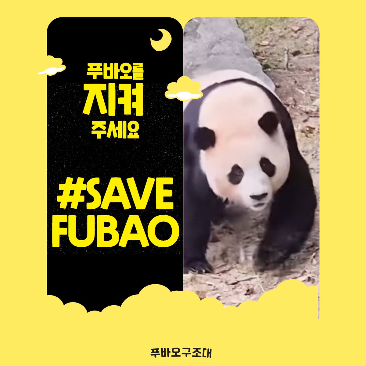 AeliBag29885's tweet photo. 푸야가임오게행복을줬으니까
임온푸야를지키려고노력해볼께
타지적응이힘들더라도힘내줘아가야
#우린포기하지않아_푸바오
#WeWillSaveFu
#福宝 https://t.co/mff7aEi9WT
