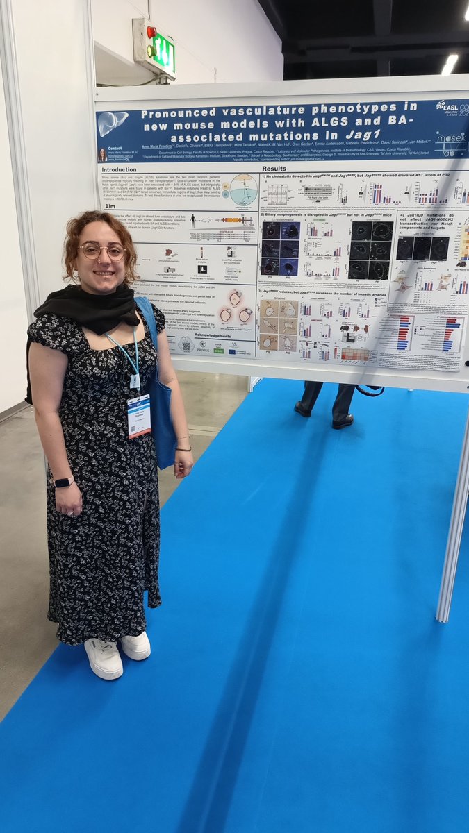 Jan Mašek tweet media