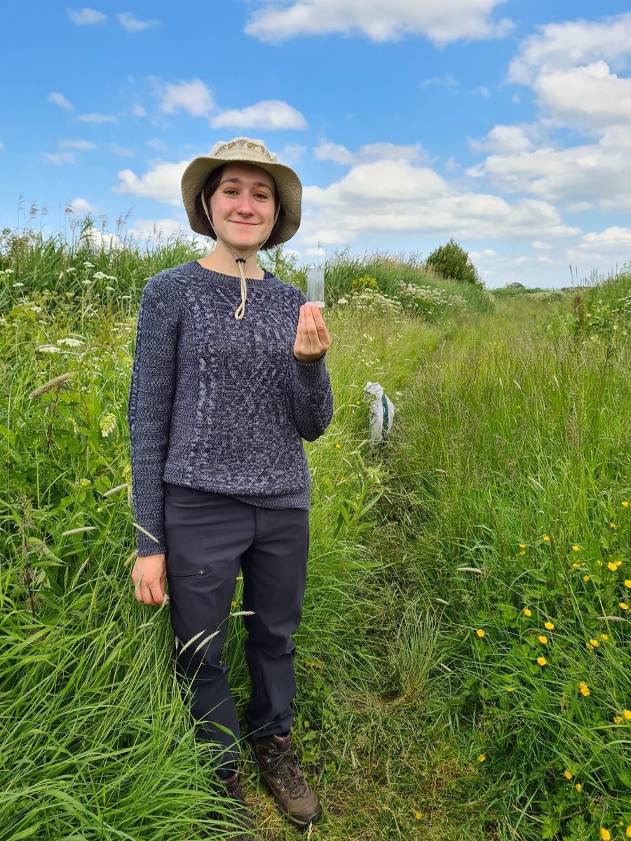 LynnDicks's tweet image. SHRILL CARDER BEE! We found one! This is Jacqui James, @camZoology researcher, working with farmers, @BumblebeeTrust @nationaltrust &amp;amp; @RestPoll on the urgent conservation of this species (Bombus sylvarum), in the most threatened of its 5 surviving UK populations, south Somerset.