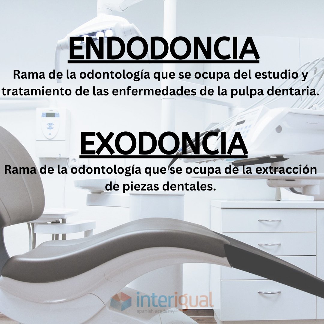 InterIgual's tweet photo. Spanish words of the day
endodoncia ⁉️exodoncia
#spanishwords #learnspanish #interigual https://t.co/ZicGoOgGlO