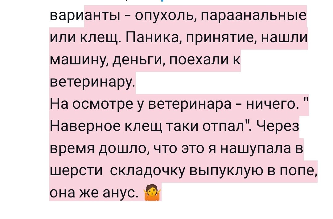 Ol_Bozhko's tweet photo. @veterinastya Наша старая кошка любит когда ей массируют ляшечки "тазовые конечности" сзади. Так я случайно слепую нащупала шишечку. Она длинношерстная сибирская, и глазами в районе попы ничего не видно было. А она не особо даёт рассматривать попу. Трогай, но не смей смотреть. У меня были https://t.co/THpY7VtuGw