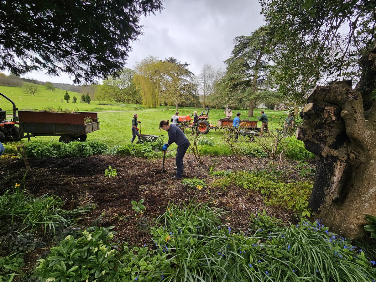 LUDMagazine's tweet photo. If you are considering a career in Garden Design, The West Dean College Diploma in Garden Design is a uniquely designed to prepare students for a career in the industry. #Magazine #GardenDesign #Landscaping  #UrbanDesign #Diploma #Gardening #LANDUD

https://t.co/Em4qYrF7iF https://t.co/1NLMZlxGU8