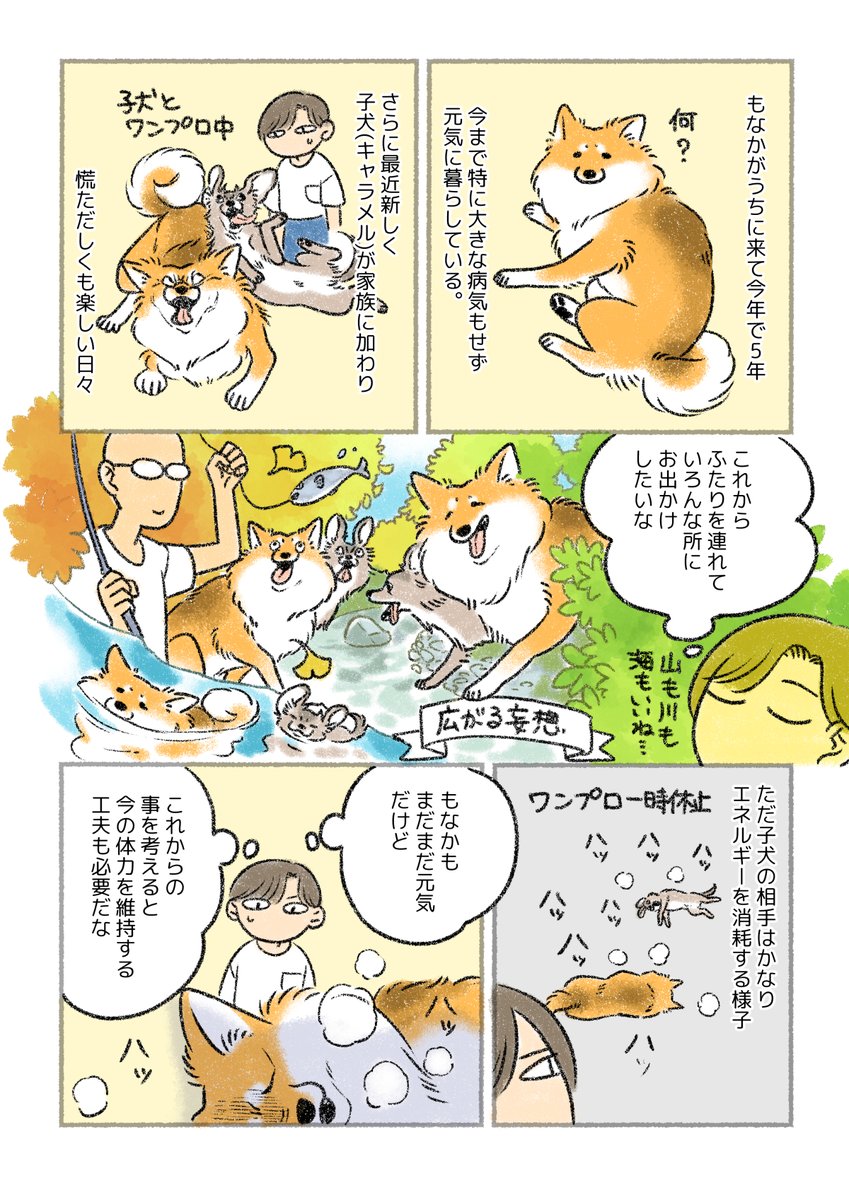 もなかのごはん事情
#PR #ユニ・チャームペット #フィジカライフ
https://t.co/9UVS2mDdmB 