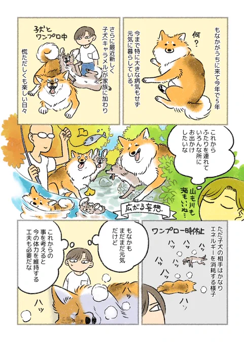 もなかのごはん事情
#PR #ユニ・チャームペット #フィジカライフ
https://t.co/9UVS2mDdmB 