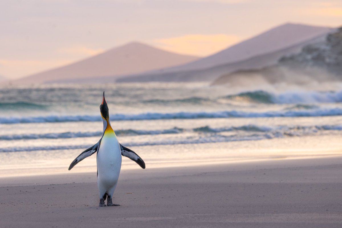 bernabephoto's tweet image. Happy Friday!