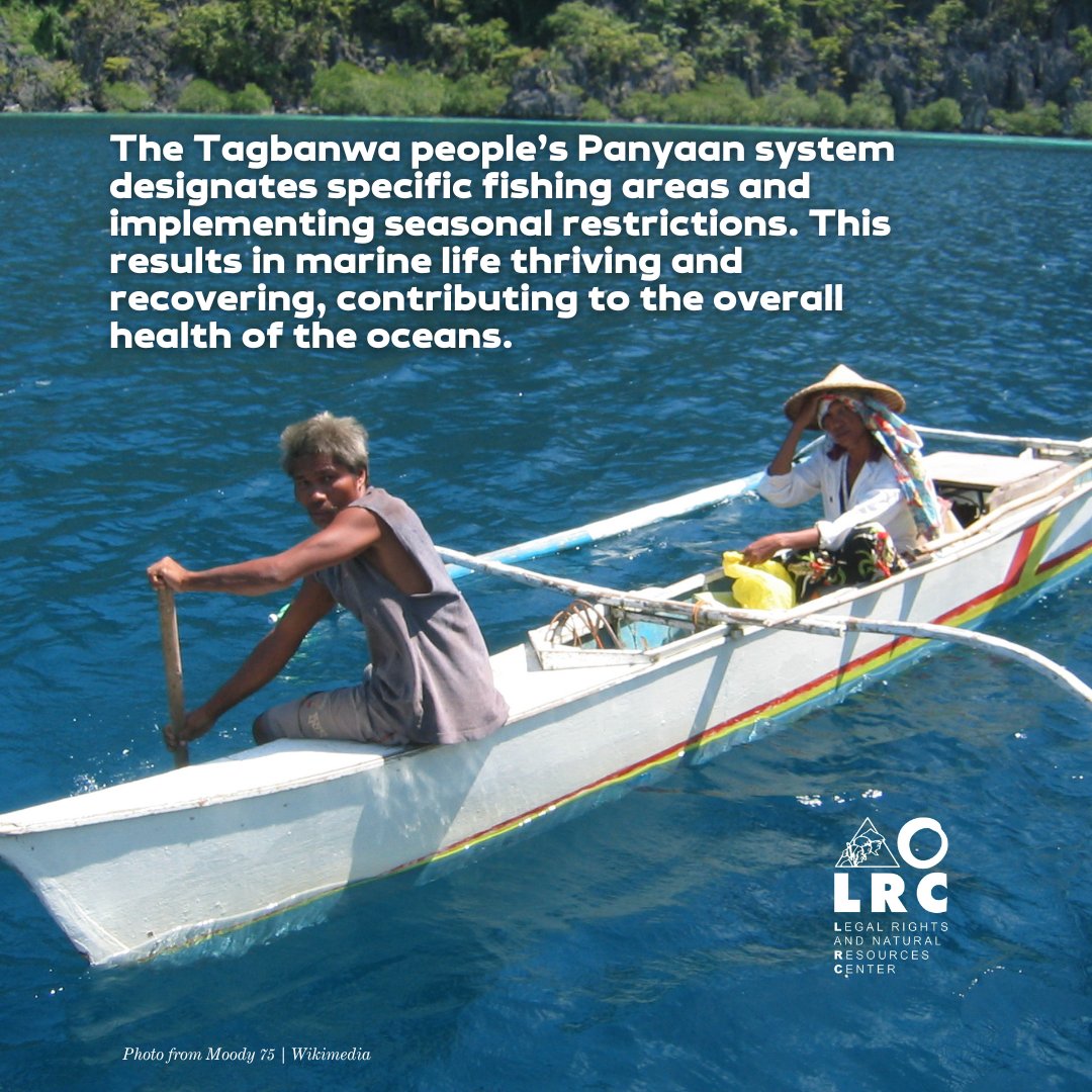 lrcphl's tweet photo. 🌊 On World Oceans Day, we recognize the significant impact of the traditional management practices of indigenous groups in safeguarding at least 256,276 hectares of ancestral domains with ancestral waters. https://t.co/DewCpd1gcu