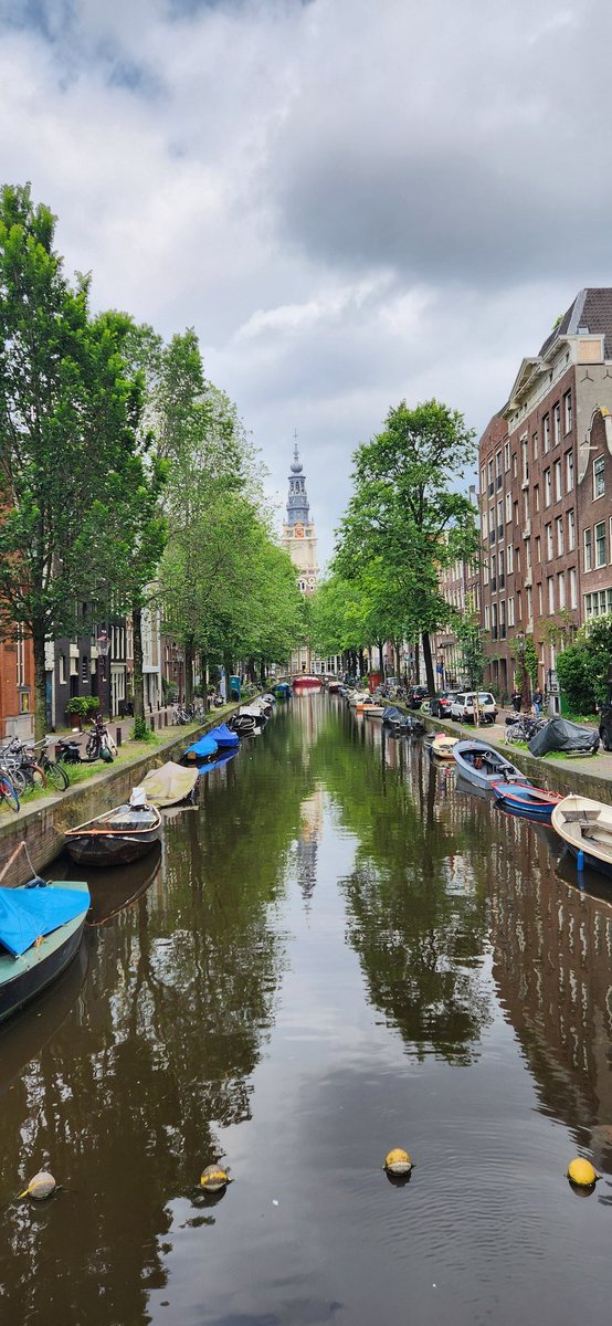 Andrew Lace tweet media