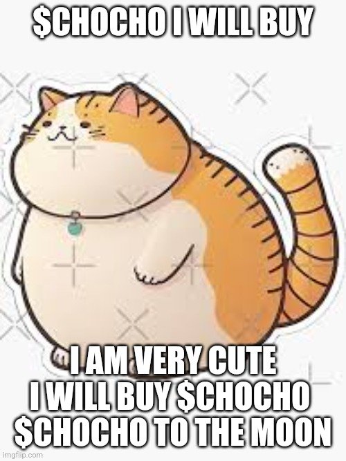 <a href="/chocho_sol/">CHOCHO</a> C9WzuGqEvTCt6m66QmP4Gg7zurujgSU6p5tL5hjGPWzW