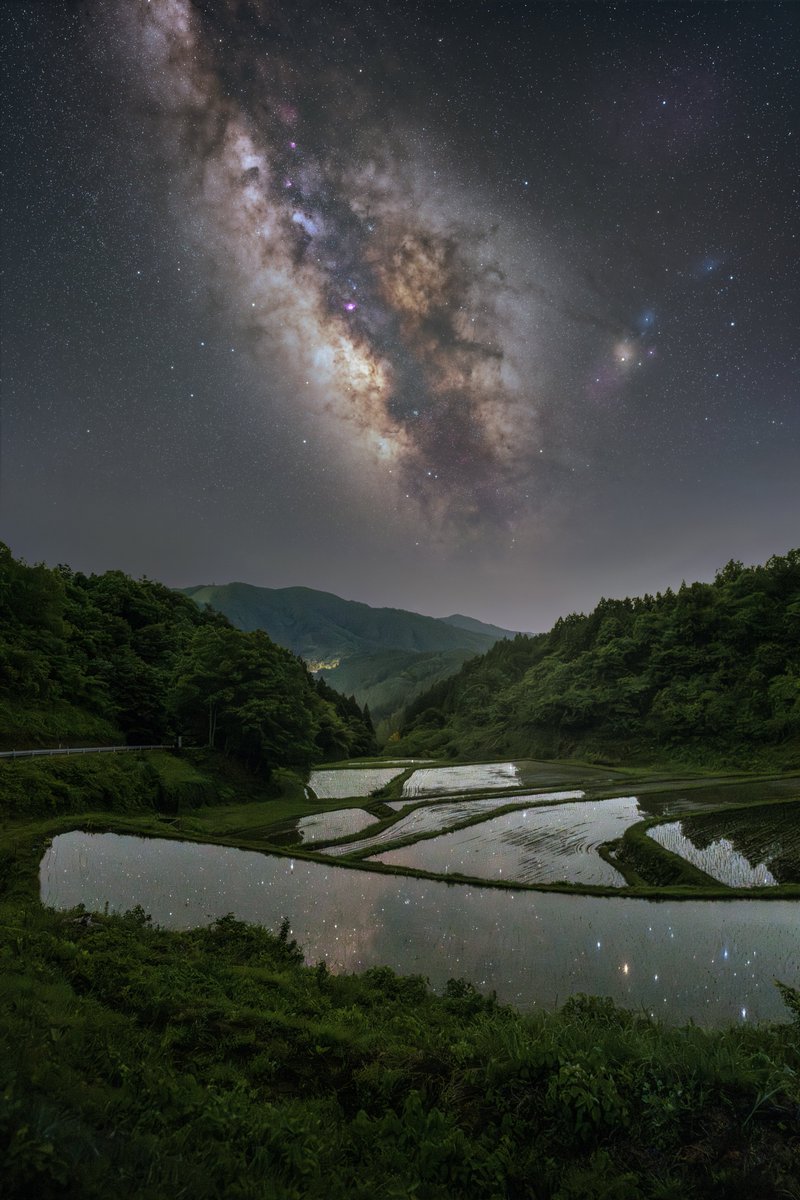 まるで田んぼに星が植えられているようでした。