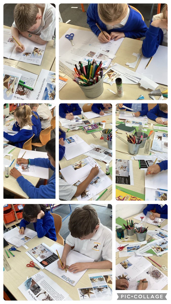 academy_roebuck's tweet photo. Year 4 Cedar focusing on a pre art workshop with the theme of Sea Life! Excellent work everyone ! https://t.co/5mOQL0iS8t