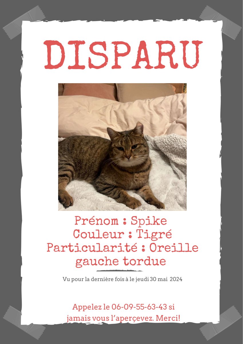 HtrvClemence's tweet photo. ⚠️ DISPARU ⚠️

Notre chat Spike n’est toujours pas rentrée depuis plus d’une semaine…

Si jamais vous l’apercevez, veuillez me contacter en mp ou au numéro de téléphone ci-dessous.

🏠Secteur Brouderdorff et alentours 
🐱Oreille gauche tordue
🎀Collier à tiques rose 

Merci 🙏 https://t.co/fogvCTwdsE
