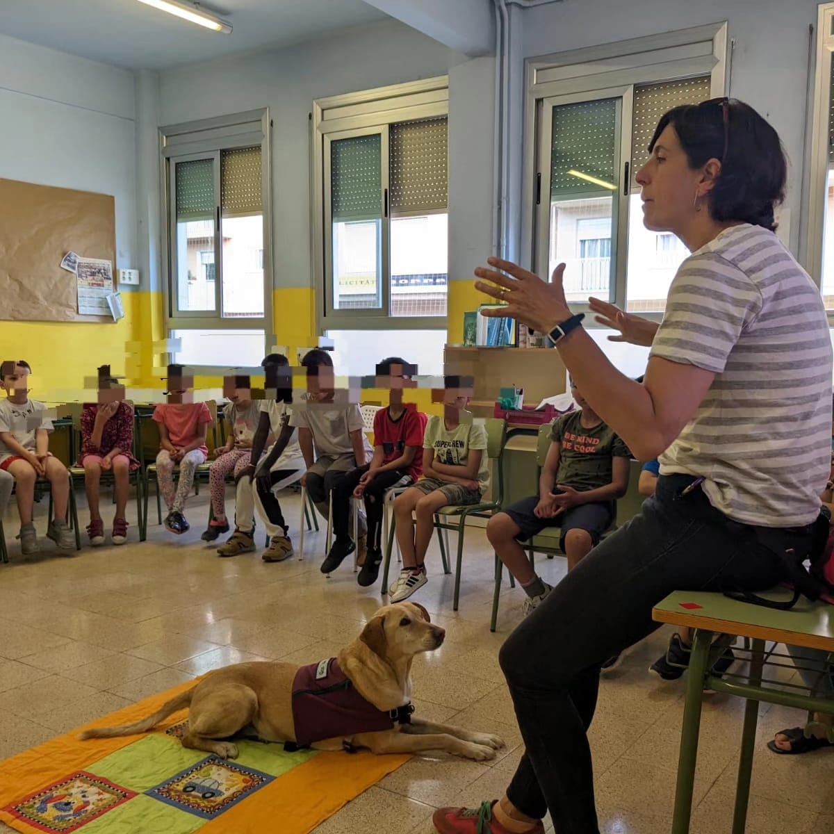 escolageneralp1's tweet photo. L'alumnat de primer i segon, han conegut la Montse i la Poma, una gossa de teràpia. Ens han explicat el seu viatge per Àfrica, Amèrica central i Itàlia. Hem gaudit molt de l'experiència 🐕‍🦺🗺️ #ADNprim #totsfemescola #transformacioeducativa #terapia #gossos https://t.co/BdfoKwYnH7