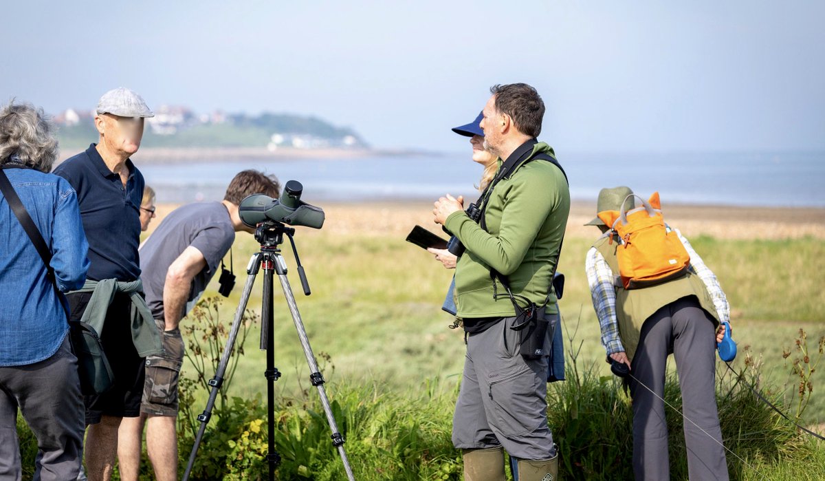andyswalecliffe's tweet photo. The June @ForumCt5 Eco groups free Guided Wildlife Walk at Longrock is this Sunday 9th. Meet at Swalecliffe Skate Park 08.00 .All welcome group Photos by Alex Hare @whistablemaritime #coasttrail #whitstablecoastaltrail @WhitstableLive @tweettankerton @GoWhitstable https://t.co/mJYLsEsklX