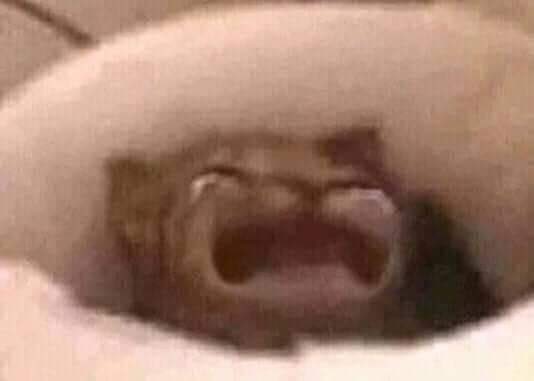 ⠀
guys i miss my wife
⠀