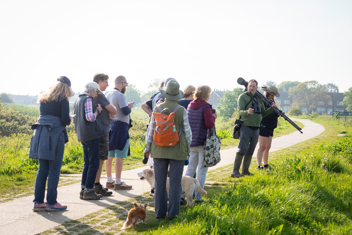 The June <a href="/ForumCt5/">CT5 People’s Forum</a> Eco groups free Guided Wildlife Walk at Longrock is this Sunday 9th. Meet at Swalecliffe Skate Park 08.00 .All welcome group Photos by Alex Hare @whistablemaritime #coasttrail #whitstablecoastaltrail <a href="/WhitstableLive/">Whitstable Live</a> <a href="/tweettankerton/">tweettankerton</a> <a href="/GoWhitstable/">Go Whitstable</a>