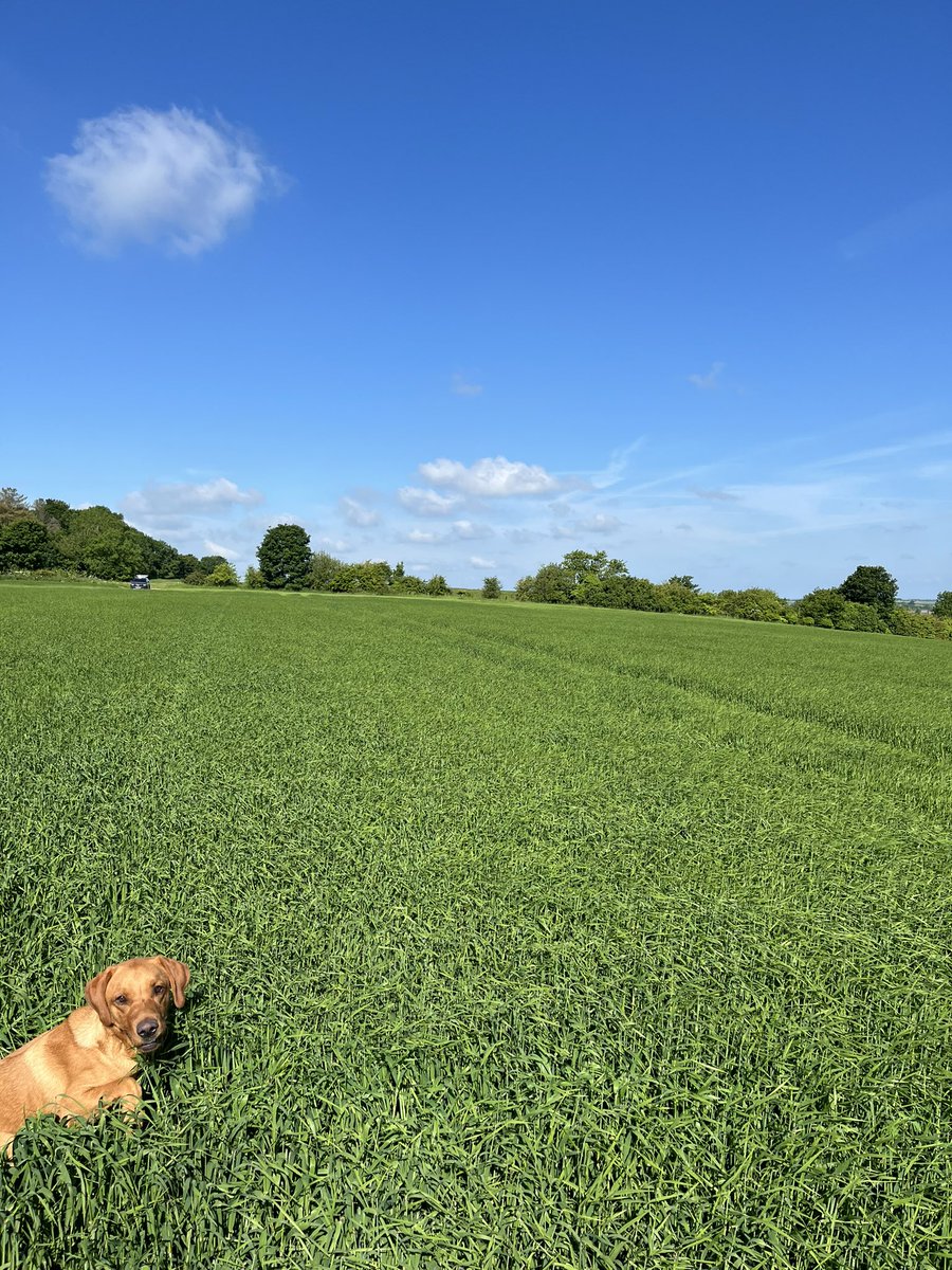 Edward Hall tweet media