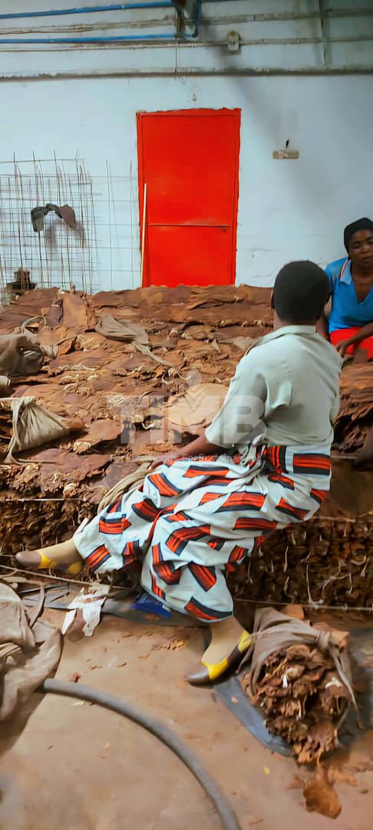 Tobacco Industry & Marketing Board tweet media